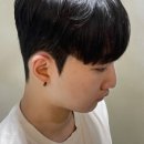 놀피시방 이미지