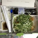 치코 파닭 마늘 간장 후기