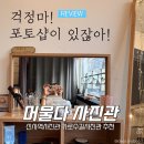 머물다 | 신사역사진관 가로수길사진관 머물다사진관 증명사진 촬영 후기 (여권, 신분증 사진 추천)