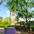 골드세탁소 이미지