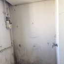 이니스바이오 이미지