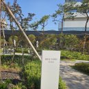 롯데호텔앤리조트 김해 | [롯데호텔앤리조트 김해] 글램핑 이용 후기