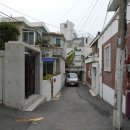 서구-01-30 이미지