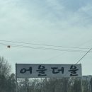 6817 | 과천 어울더울 방문 후기 🦐 정육식당인데 새우·조개까지 가능한 곳