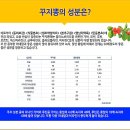참옻피아 | 80시간의 결과, 항암 당뇨 효과 '꾸지뽕 원액' '꾸지뽕기름'