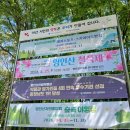 [아산 가볼만한 곳] 영인산 수목원, 철쭉제 다녀왔어요!
