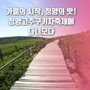 인제읍주민자치 라인댄스 | 가을의 시작, 청양의 맛! 청양고추구기자축제에 다녀오다