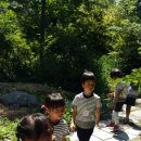 병곡초등학교병설유치원 이미지