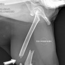 인천 24시 스카이동물메디컬센터 이미지