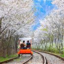 강동문화센터 화장실 이미지