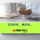 애플부동산공인중개사사무소 | 충북 진천 부동산 전문가, 애플 공인중개사 사무소 소개.