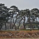 고례마을 이미지