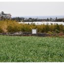 창천지석묘 1호 이미지