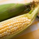 옥수수 동물병원 이미지