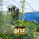 이정환농장 이미지