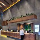 8호화장실 | 포레스트 리솜 S30 빌라 8동 8호 내돈내산 2박 후기