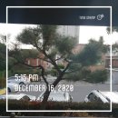 책(그림책)놀이지도사 자격대비 이미지