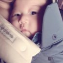 중동이마트아가방 | 앨짱 일상 : 그린맘 젖병,오볼 치발기,유피스 치발기,에끌레브 펄스 아기띠