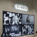 봄을 그리며 | 더현대 서울 송지오 방문 후기 26SS 여성복 봄 코디 추천