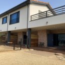 스테이 댕댕 이미지