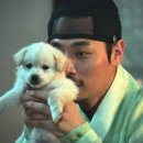까르르멍멍 | 전,란 후기