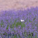 원오농장 이미지