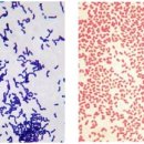 전대약국 이미지