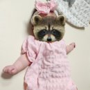 대구동아쇼핑 아가방갤러리 이미지