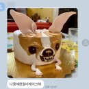 살로몬제주점 이미지