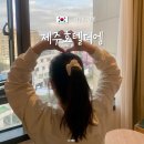 제주호텔더엠 이미지