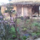 야야 민박 이미지