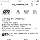 개드레날린휴개소 이미지