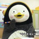 와컴 네이버블로그