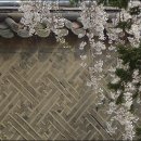꽃담