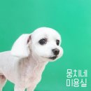 뭉치네 미용실 이미지