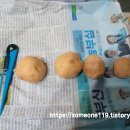 희준농장 이미지