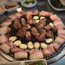 탐라화포집