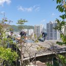 교방동120 이미지