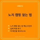 피움농장 | 노지 캠핑 찾는 법, 허가·무료 스팟·에티켓·안전까지 실전 가이드
