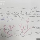 청담엔케이피부과청담NK피부과 이미지