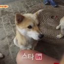 숙녀농장 이데일리