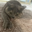 부두PC방 이미지