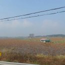 당진 승마장 네이버블로그