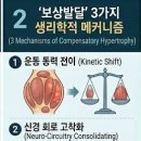 (주)동원메디칼 | $34. [2026 최신] 종아리 보톡스 후 다시 굵어졌다면? '재발성 보상발달' 예방과 AI 맞춤 관리의 모든 것