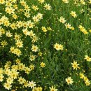 우리개발 이미지