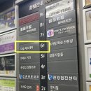 더숲 에스테틱 이미지