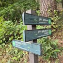 (서울근교 단풍등산) 관악산 등산코스 과천역-과천교회-관악산 연주대-자운암 능선 20251026 이미지