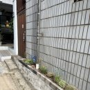 화단플라워카페 | 봉산동 브런치 맛집 콘크리트 플라워 분위기 좋은 카페 후기