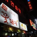 이모네꽃돼지 이미지