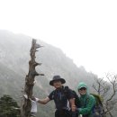 산여울 이미지